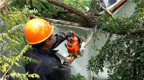 首页| 2003网站太阳集团接待您!