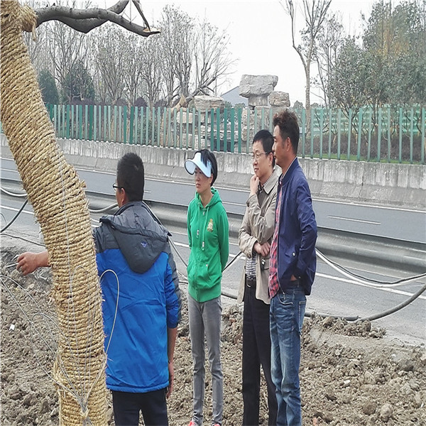 首页| 2003网站太阳集团接待您!