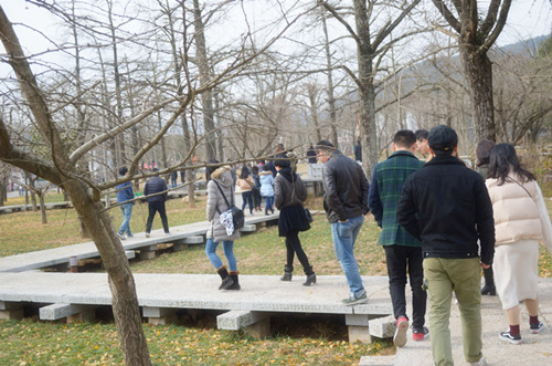 首页| 2003网站太阳集团接待您!