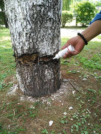 首页| 2003网站太阳集团接待您!