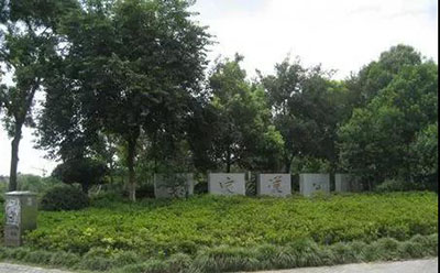 首页| 2003网站太阳集团接待您!