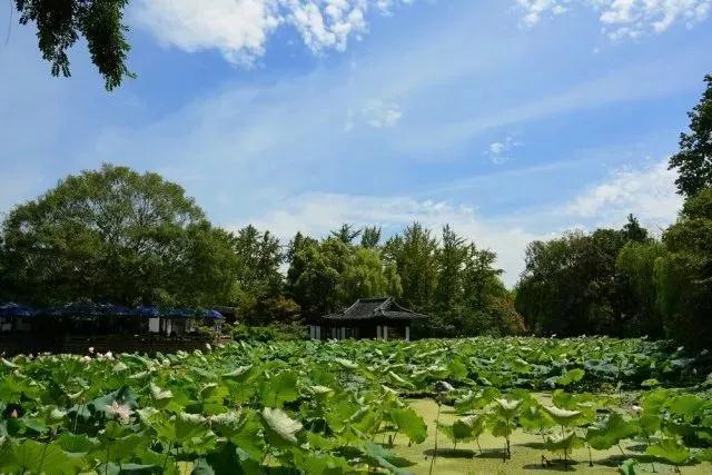 首页| 2003网站太阳集团接待您!