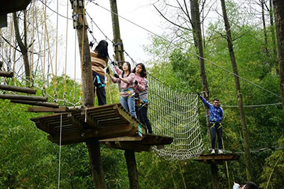 首页| 2003网站太阳集团接待您!