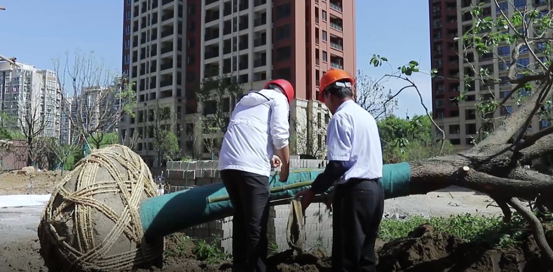 首页| 2003网站太阳集团接待您!