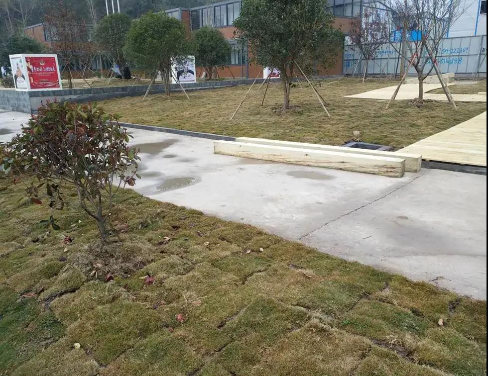 首页| 2003网站太阳集团接待您!