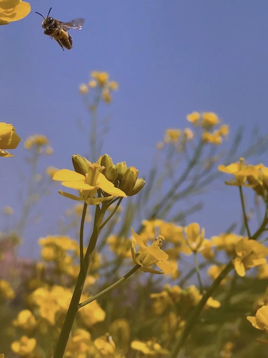 首页| 2003网站太阳集团接待您!