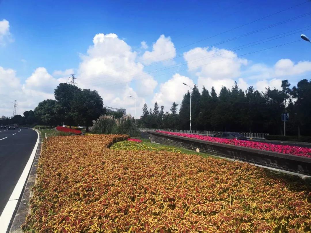 首页| 2003网站太阳集团接待您!