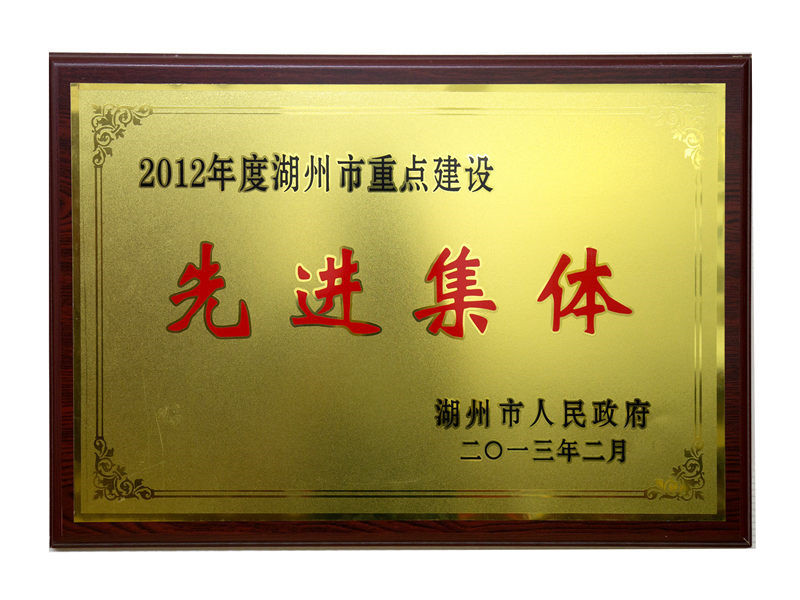 2012年度市重点建设先进整体