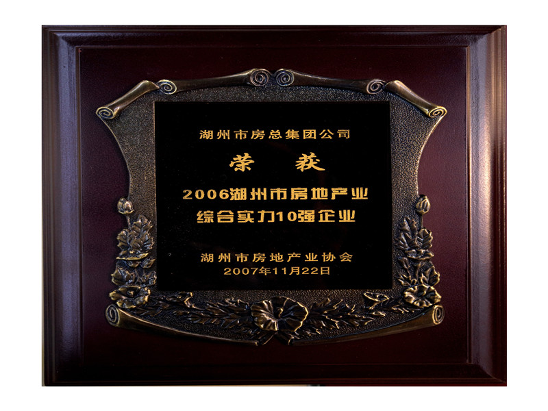 2006市房地工业综合实力10强企业