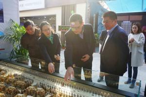 三盘耀世璀璨吸睛，，房交会上亮点频现