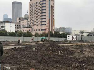 2003网站太阳集团·望园项目开工建设